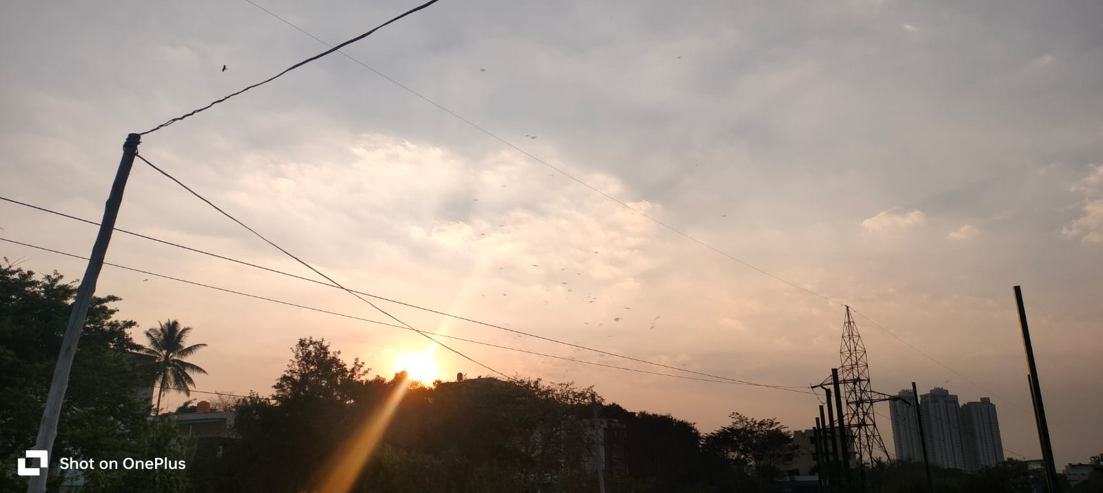 Golden Sunset